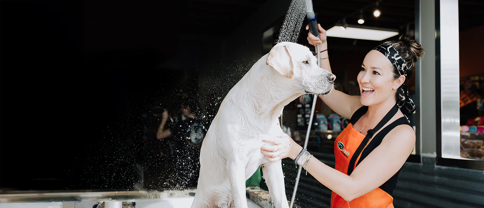 Unleash Your Pet's Best Look